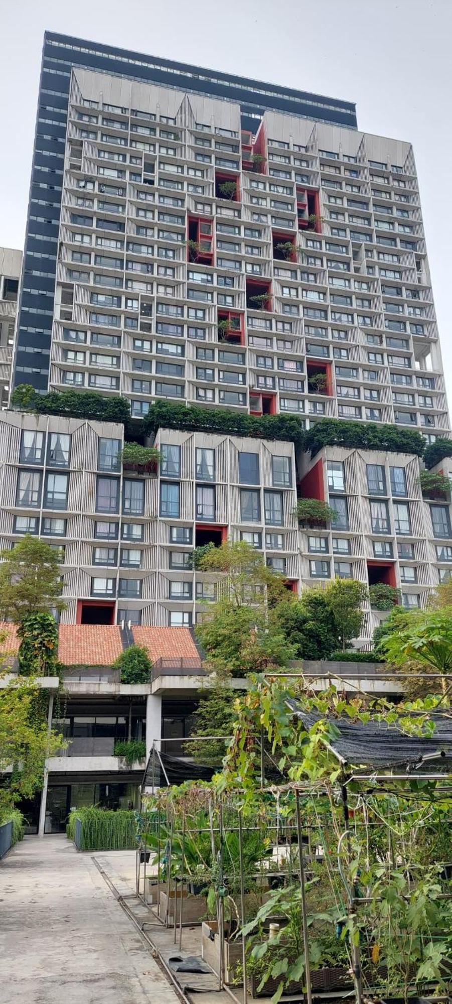 Tamarind Suites,